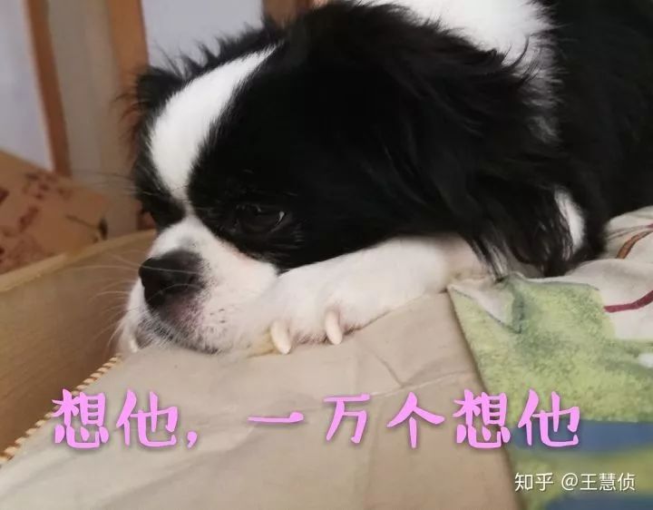 泳衣对女生——，女生夏日的时尚密码与自由象征