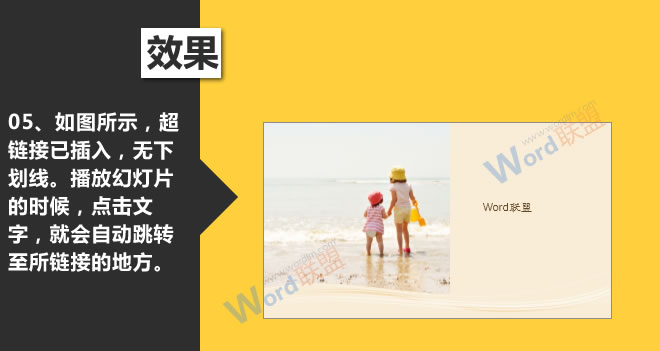 梅耶镜头——，穿越时光的光学艺术，捕捉生活中的非凡瞬间